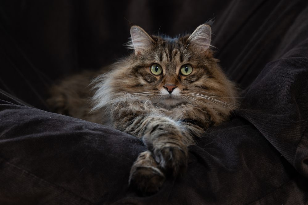 Photograph by Алексей Гончаров