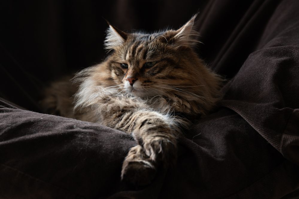 Photograph by Алексей Гончаров