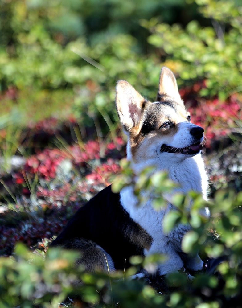 Photograph by Лариса Ким