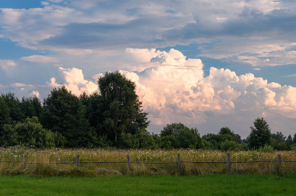 Photograph by Романов Денис