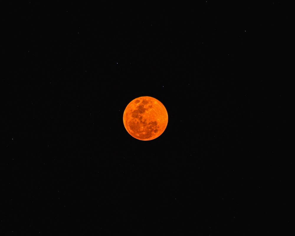 Photograph by Rakesh E