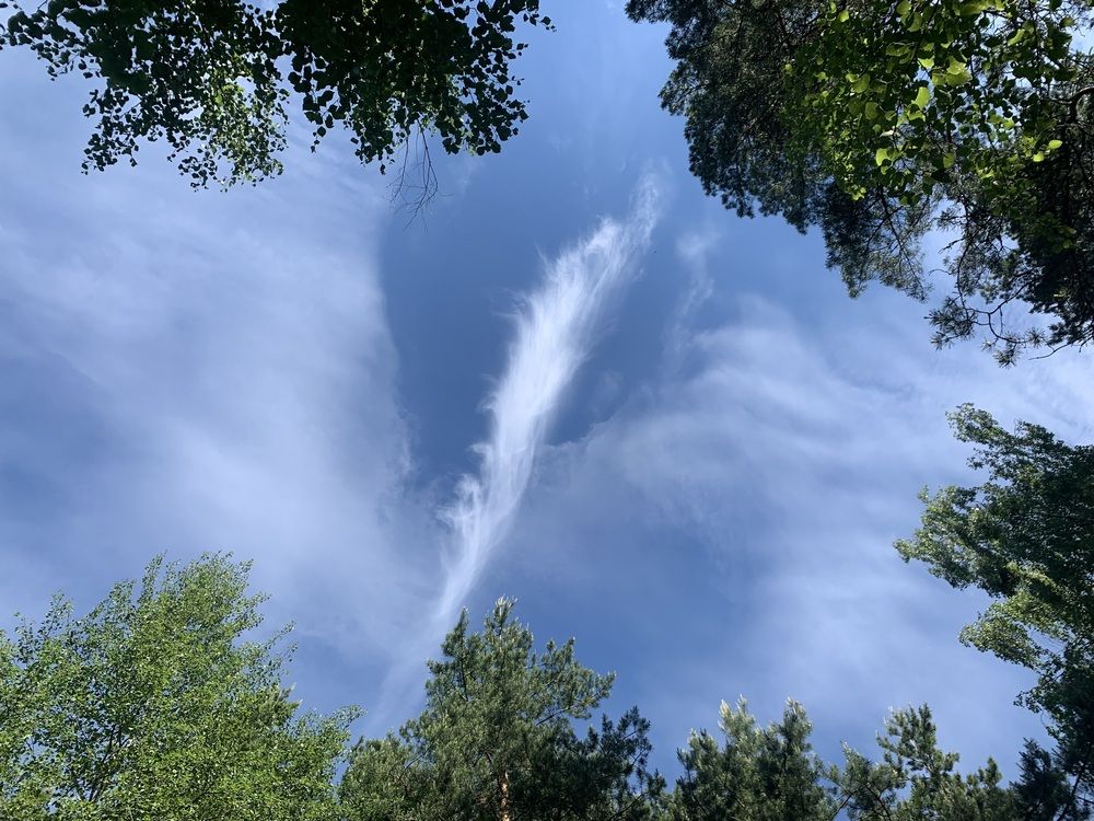 Photograph by Ионова Татьяна