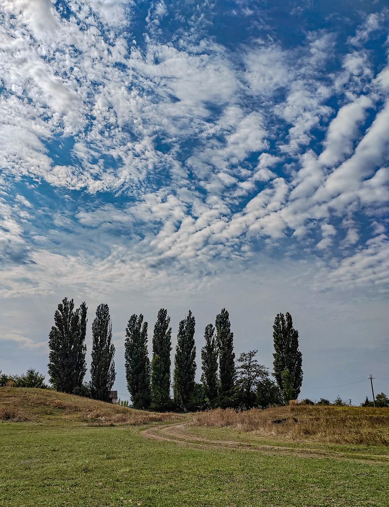 Photograph by Анастасия Молчанова