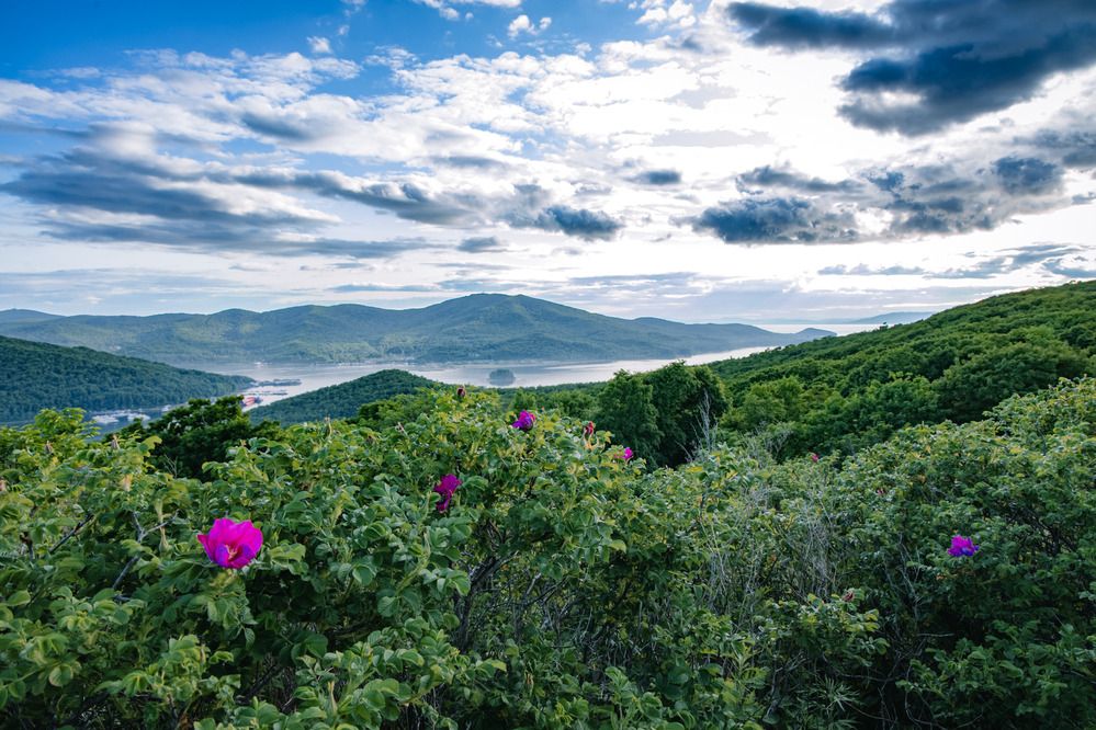 Photograph by ARTEM AFANACEV