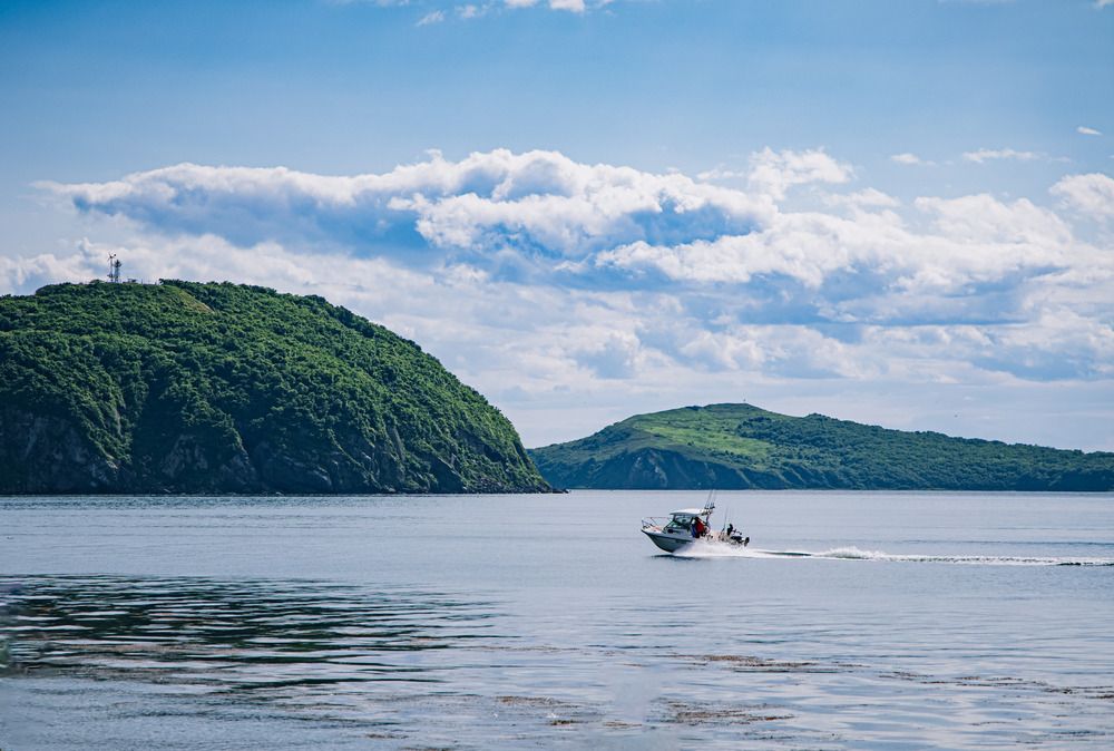 Photograph by ARTEM AFANACEV