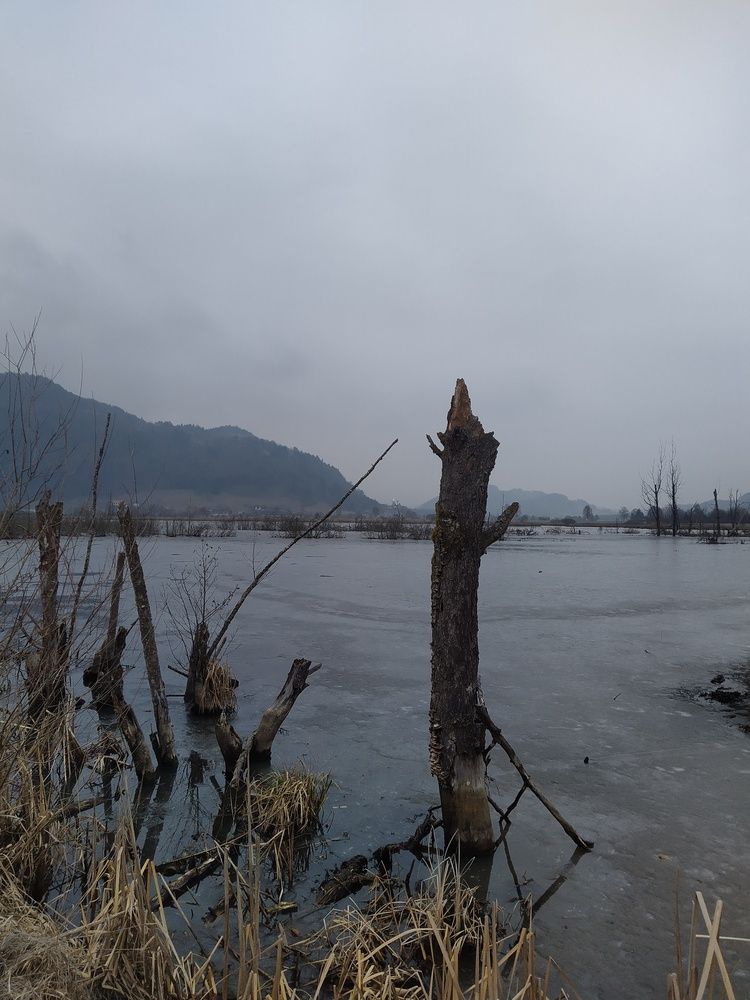 Фотография автора Inna Osminina