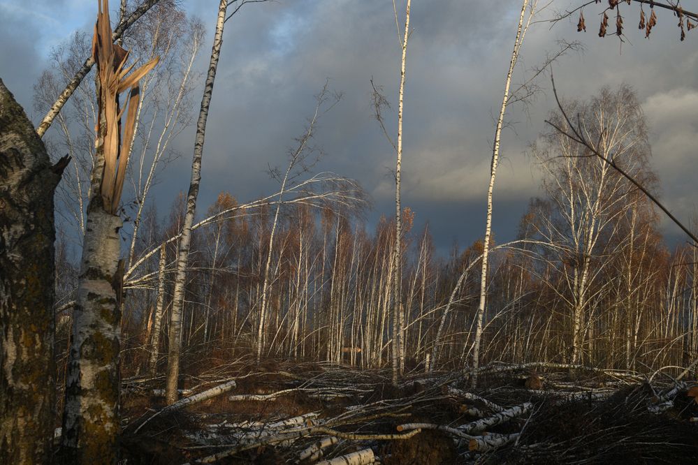 Photograph by Леонид Безручко