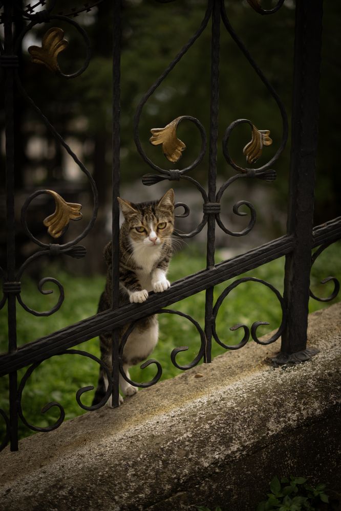 Photograph by Александра Пищало