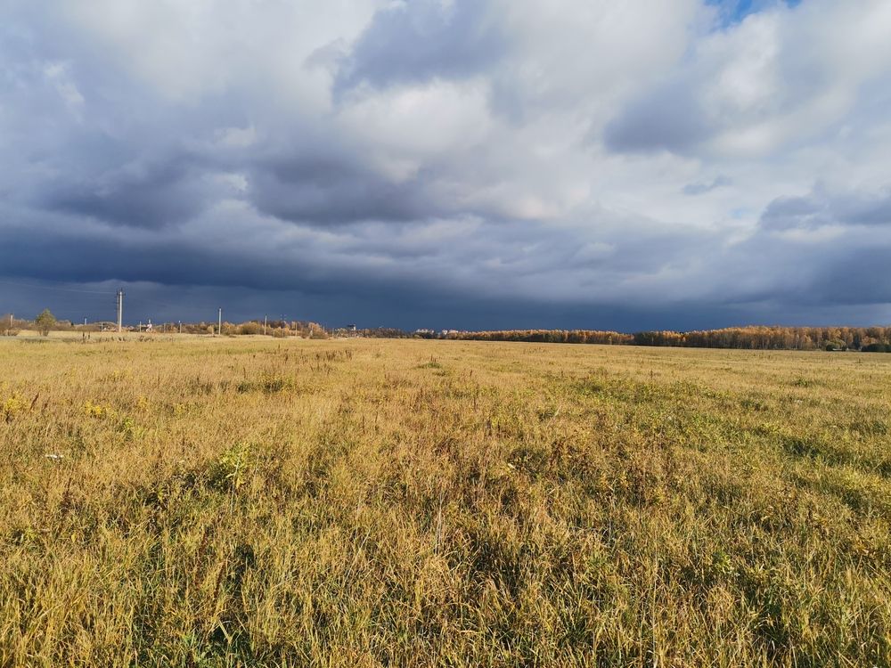 Фотография автора Давыдова Ольга Николаевна