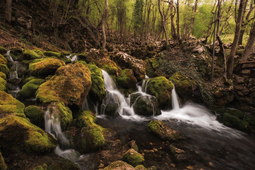 Photograph by Roman Vislobokov