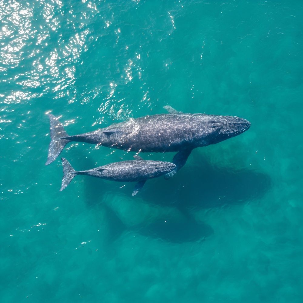 Photograph by Андрей С.