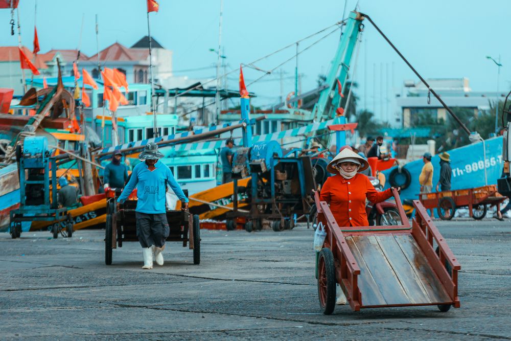 Фотография автора Tuan Nguyen Huu