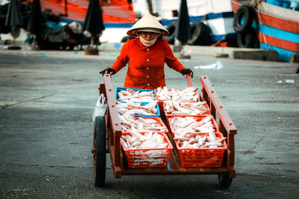 Фотография автора Tuan Nguyen Huu