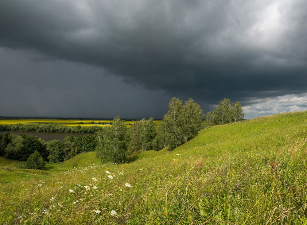 Перед грозой