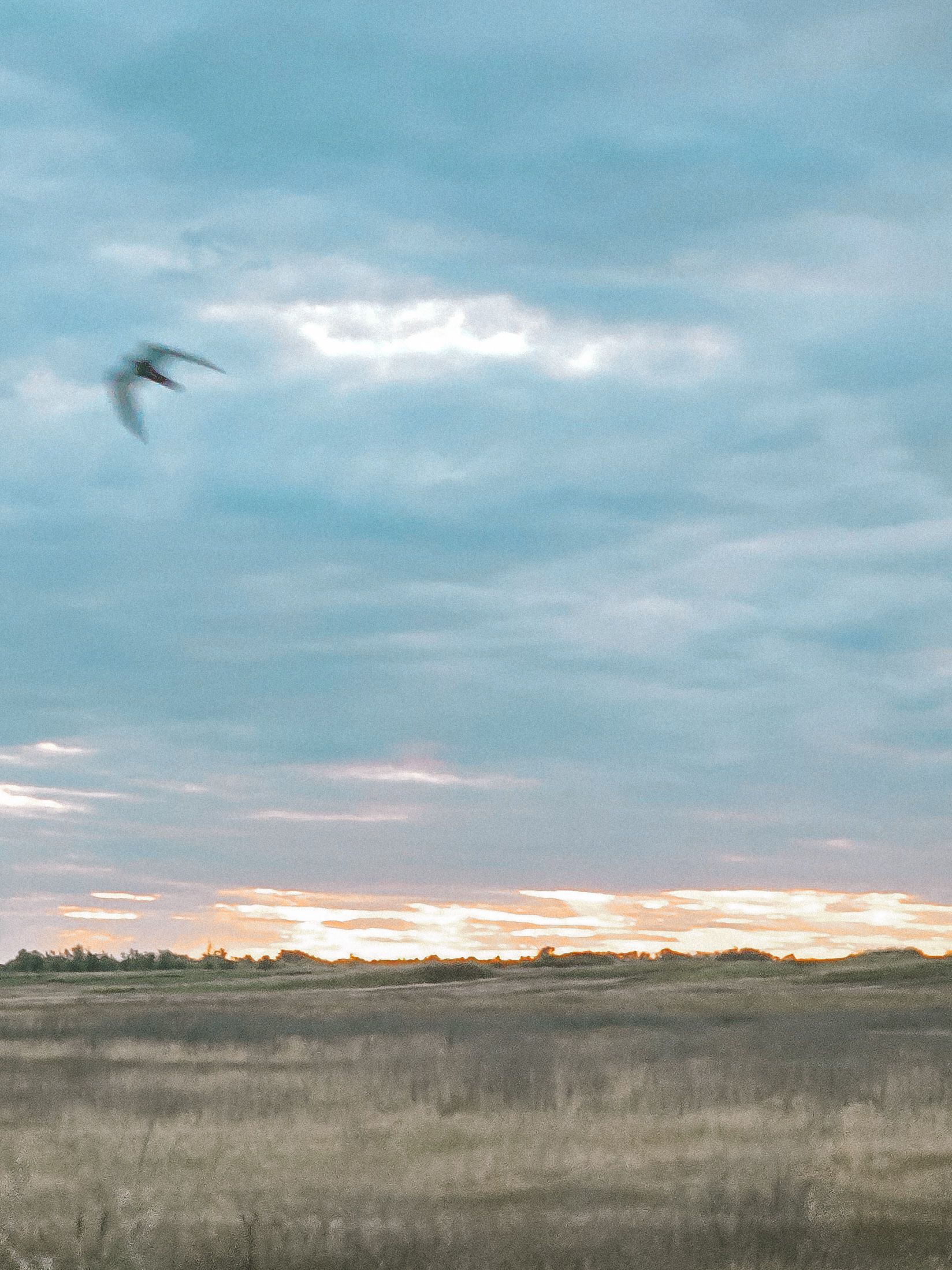 Photograph by Александра Воронина
