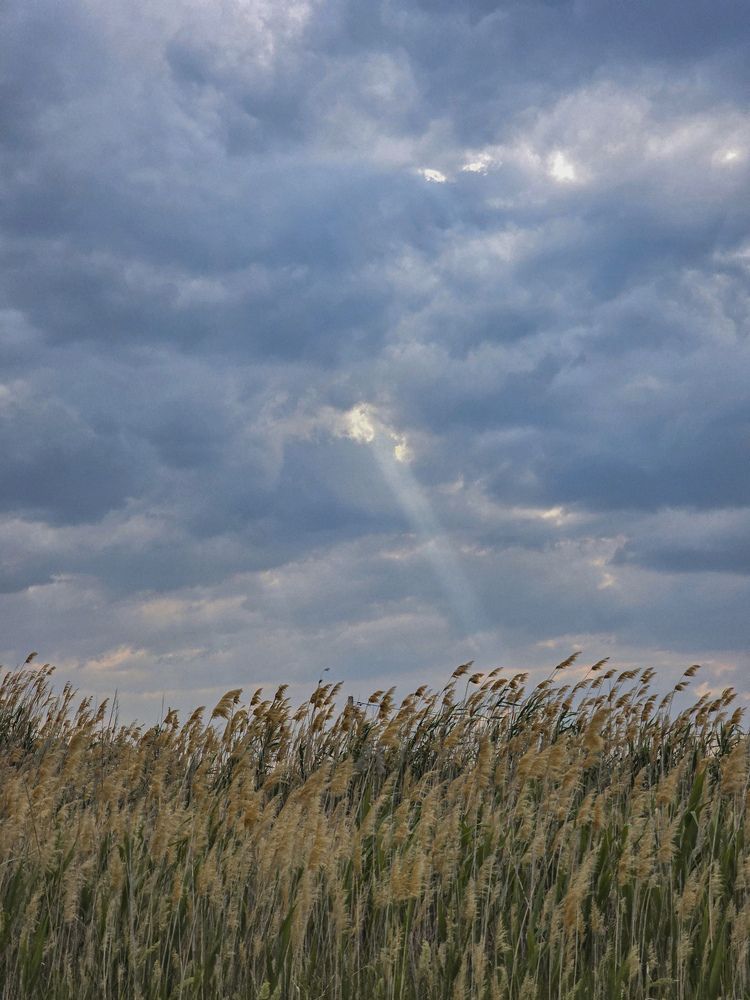 Photograph by Александра Воронина