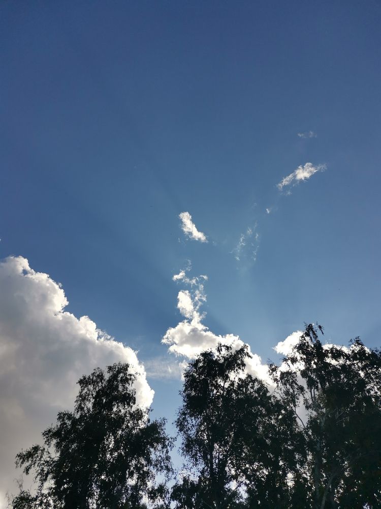 Photograph by Любовь Лунина