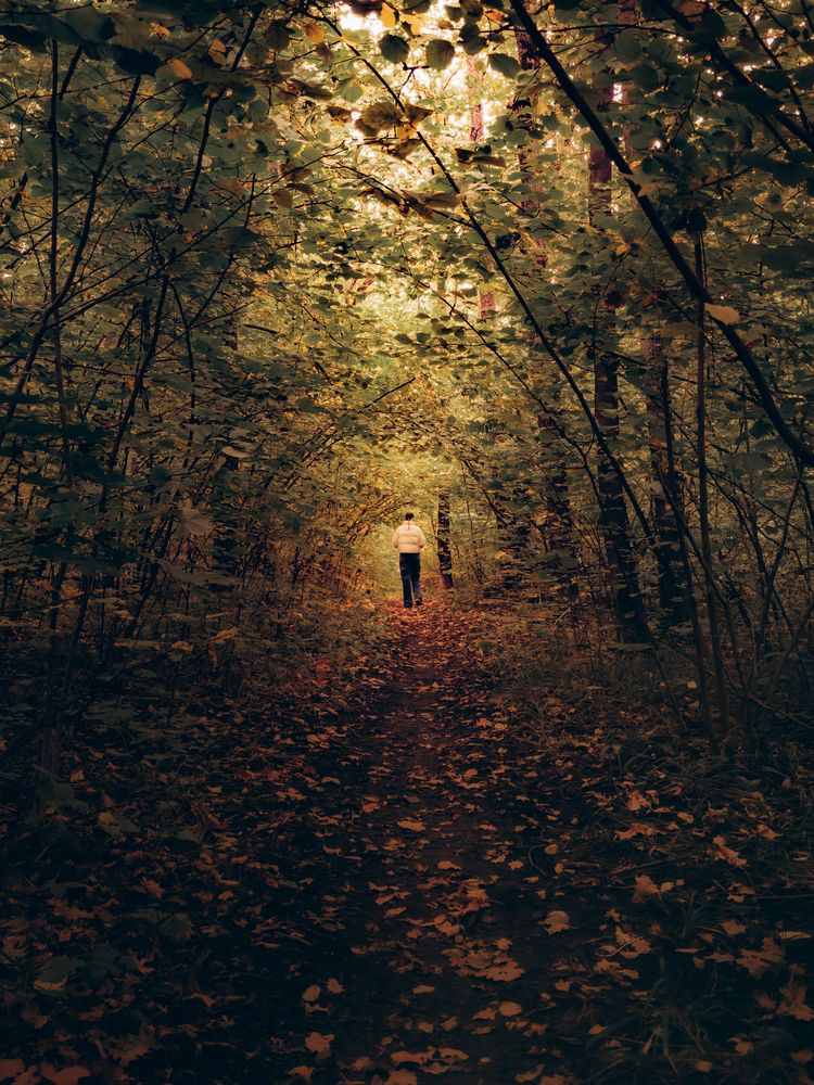 Photograph by Илья Антипов