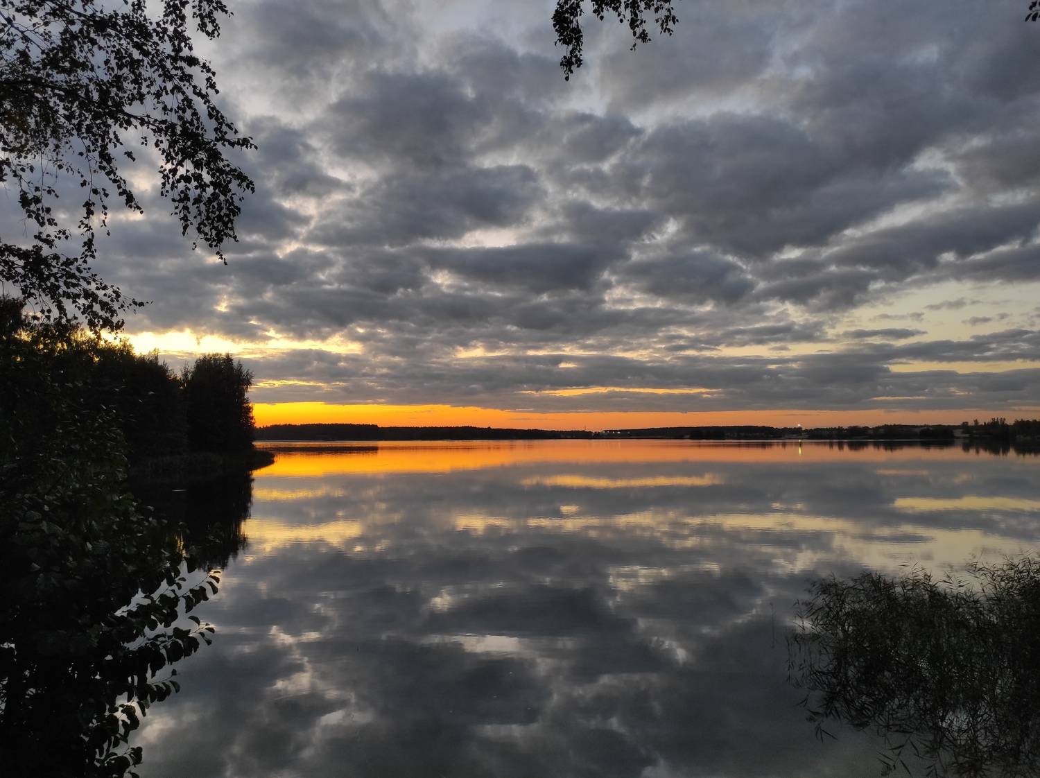 Photo #12554017