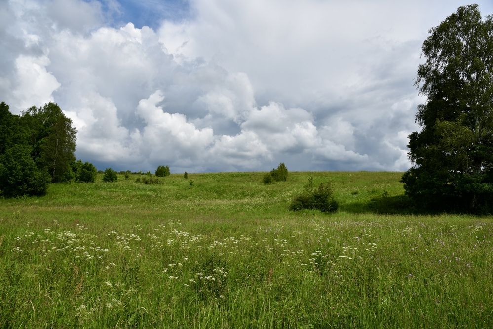 Photograph by Ольга Струкалина