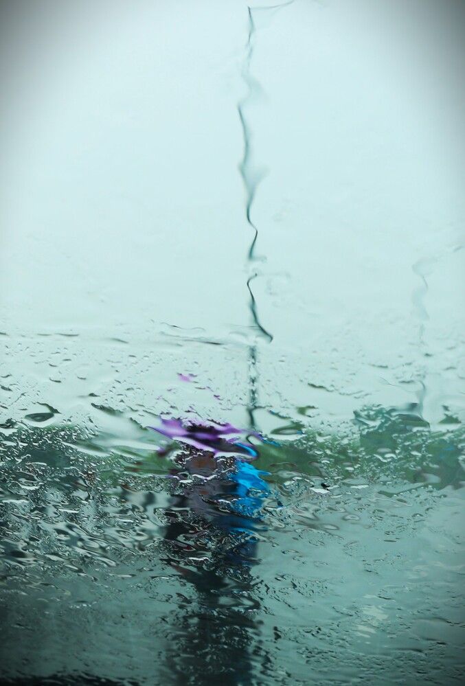 Photograph by G GOVIL