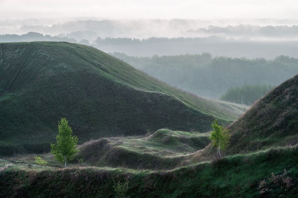 Photograph by Алексей Турчин