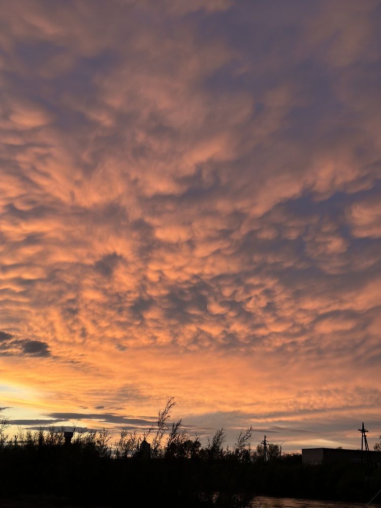 Photograph by Ирина Маркина