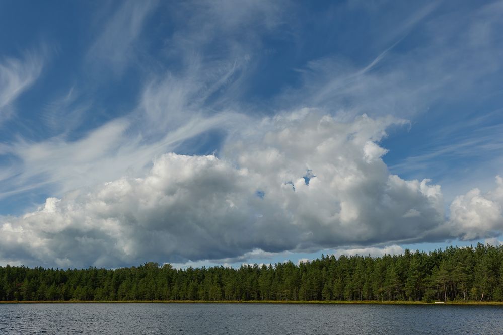 Photograph by Криволуцкий Вячеслав