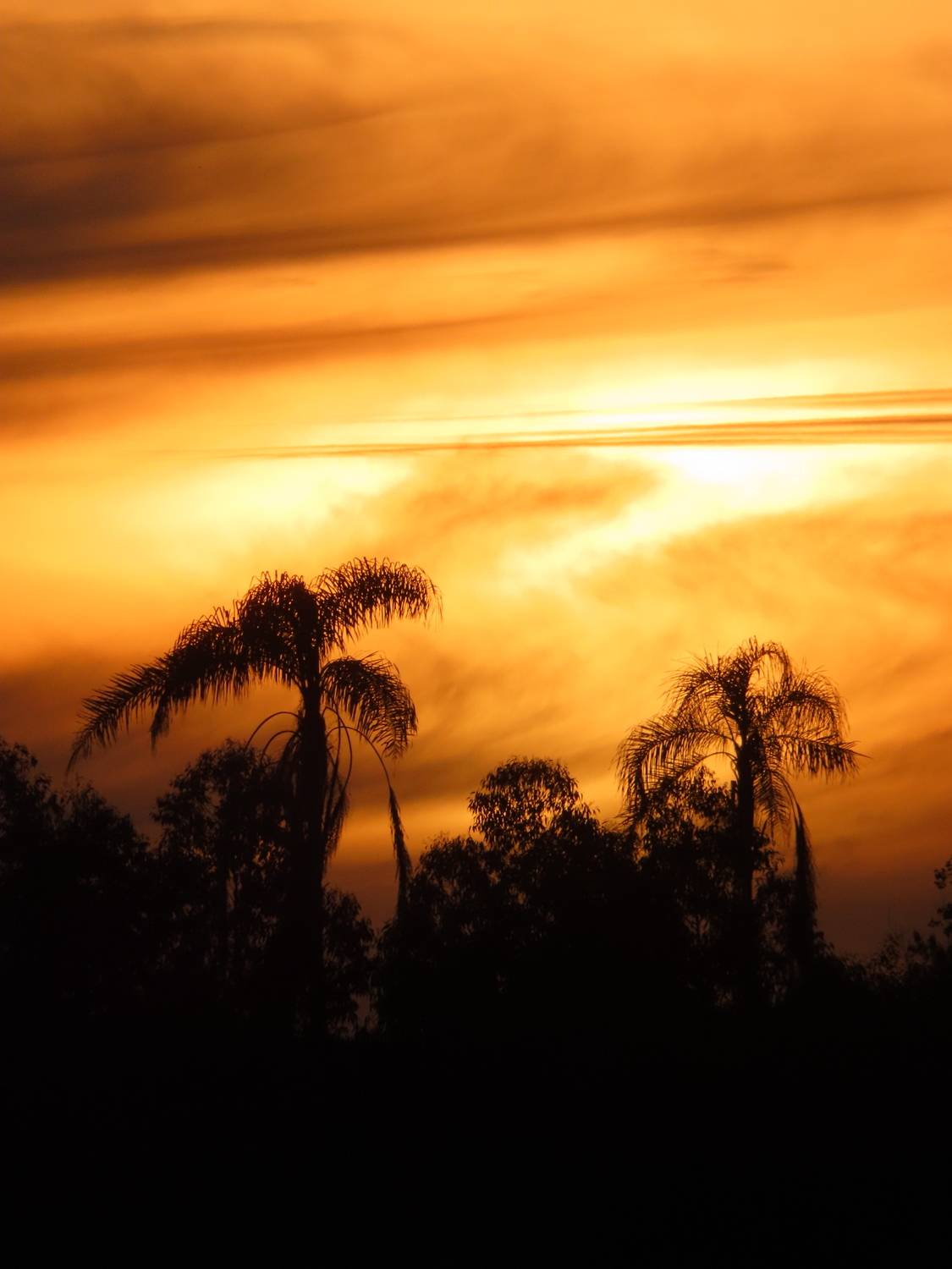 Sky on Fire