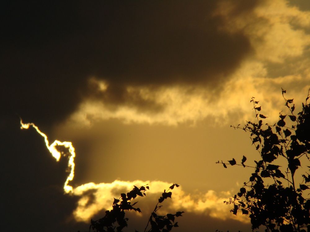 Photo #12554181