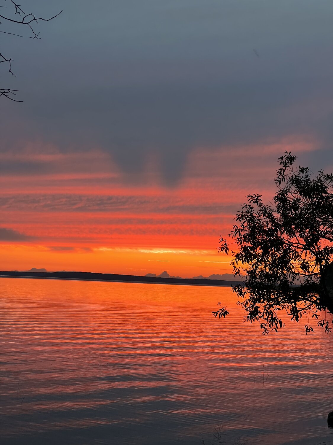 Photo #12554187