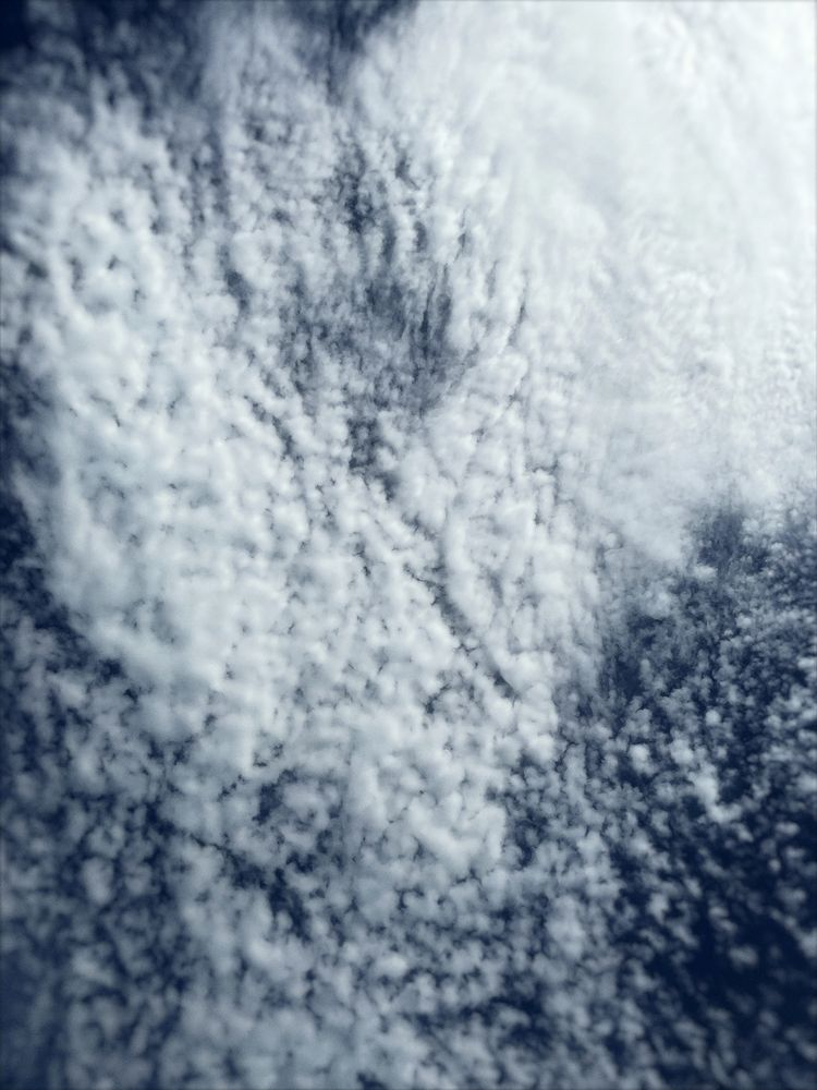 Photograph by Анастасия Щербакова