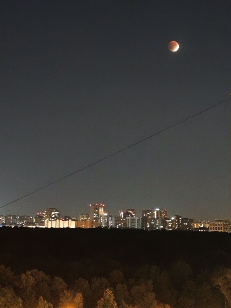 Photograph by Елена Шоколенко