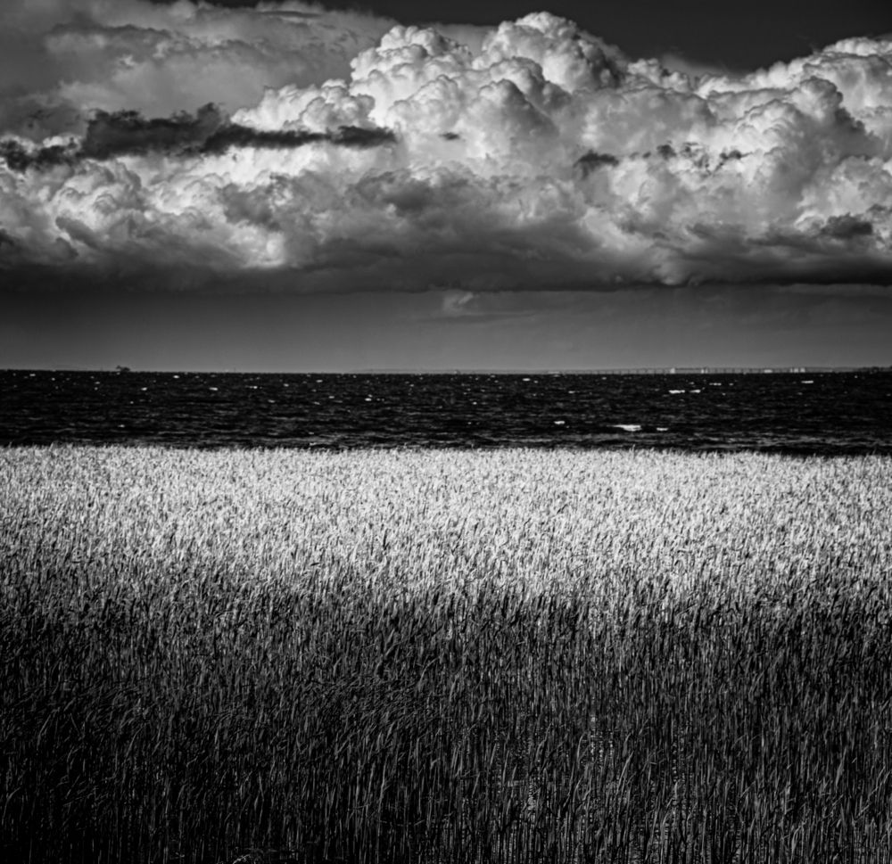 Photograph by Сергей Вальков