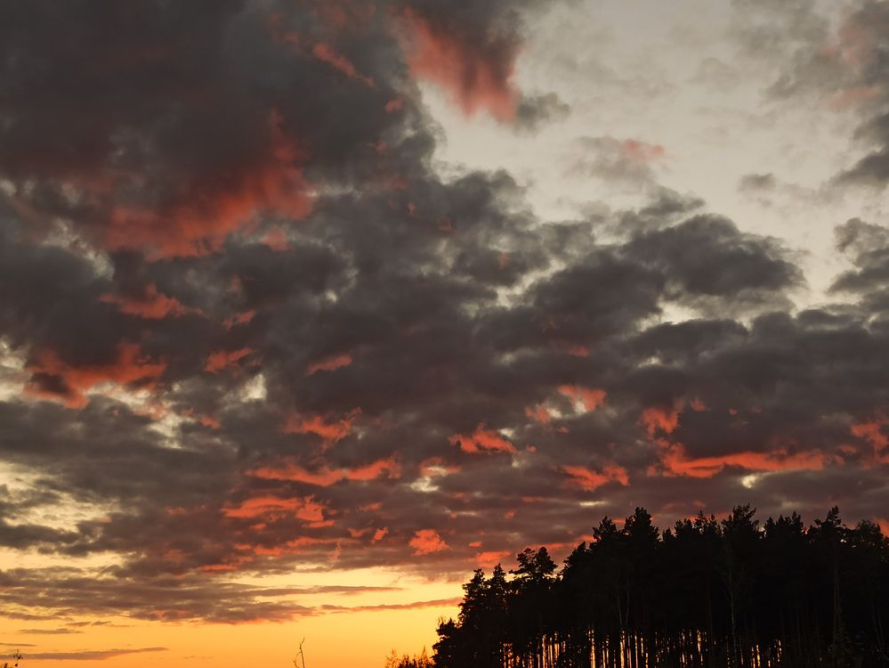 Photograph by Игорь Максимов