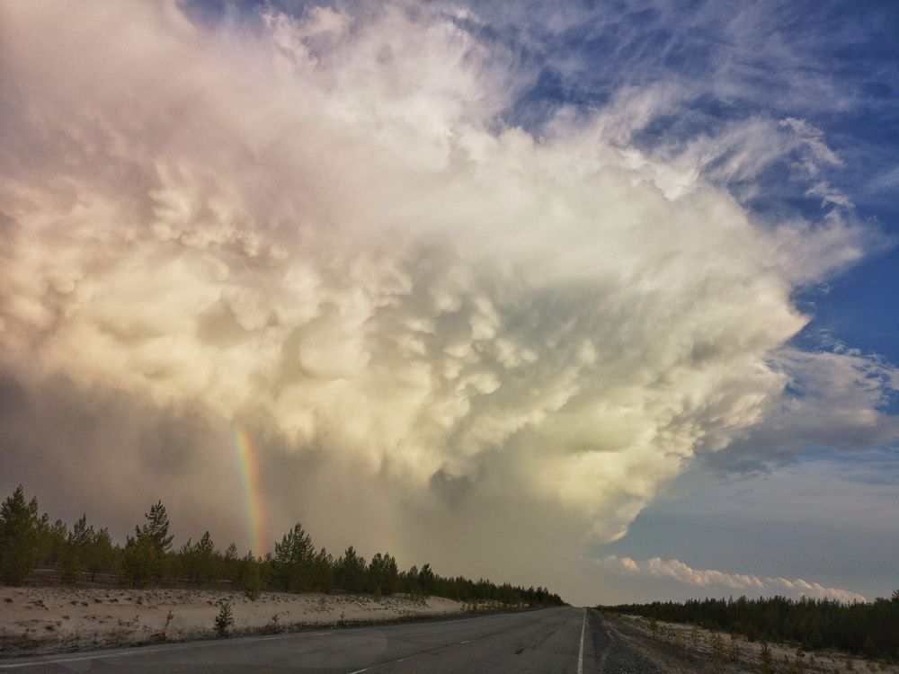 Фотография автора Оксана Шенина