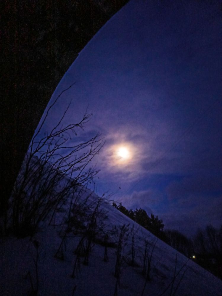 Photograph by Игорь Максимов