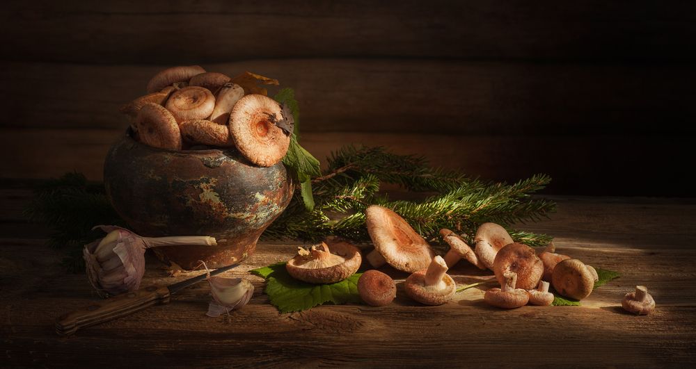 Photograph by Хвойнова Елена