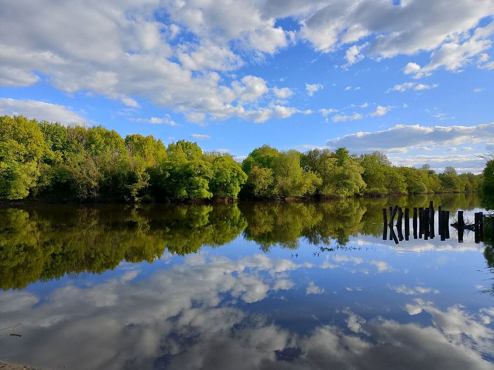 Photograph by Александр Гришин