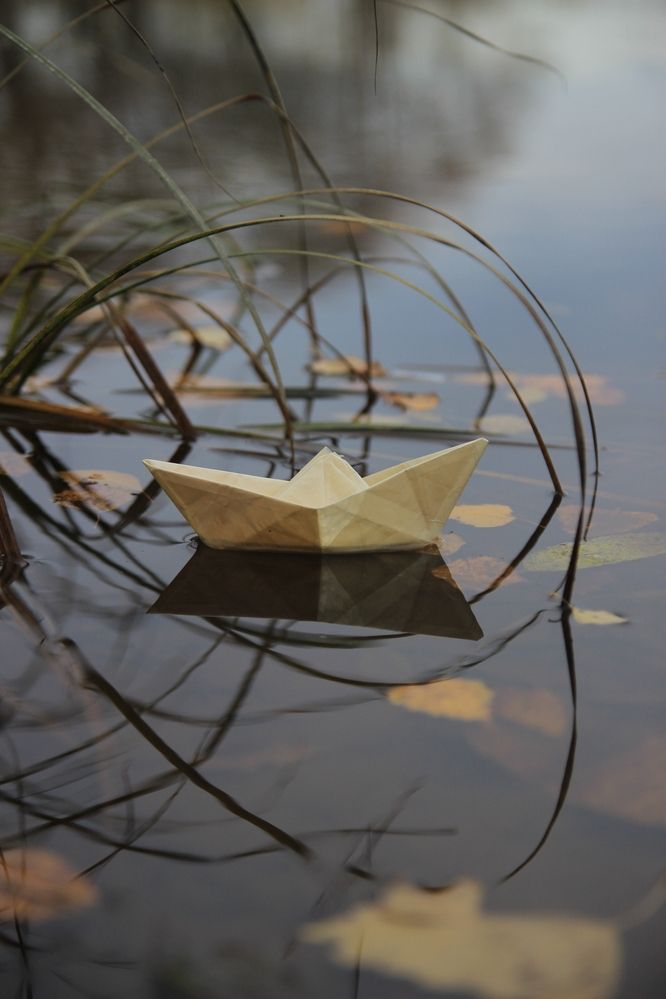 Photograph by Сергей Зятиков