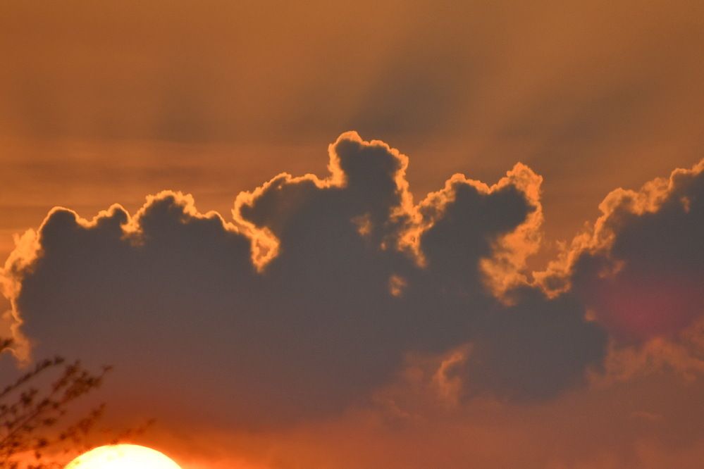 Photograph by Marzio Fattorini