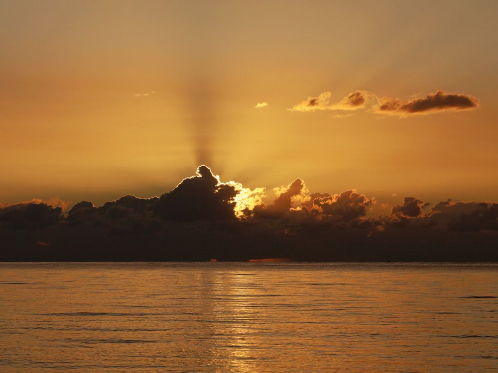 Photograph by Марианна Браун