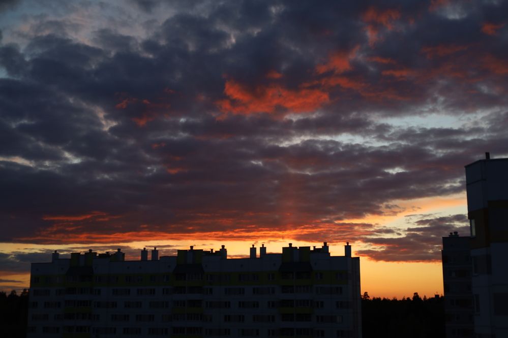 Фотография автора Svetlana Fomenko