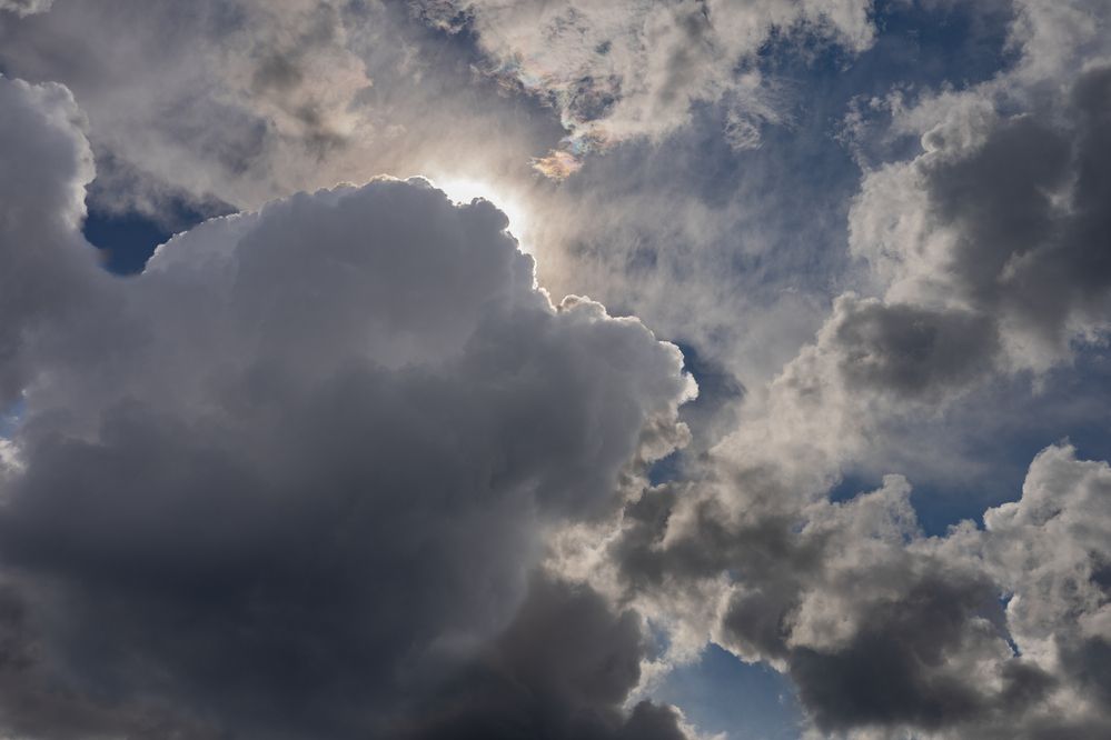 Фотография автора Svetlana Fomenko