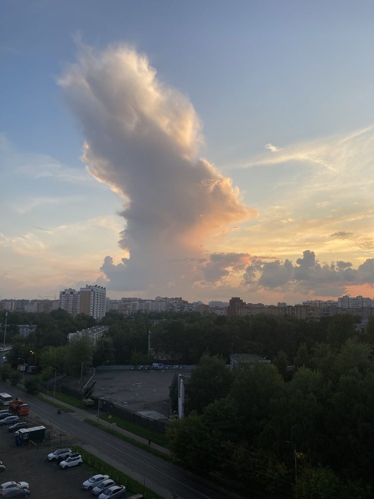 Photograph by Светлана