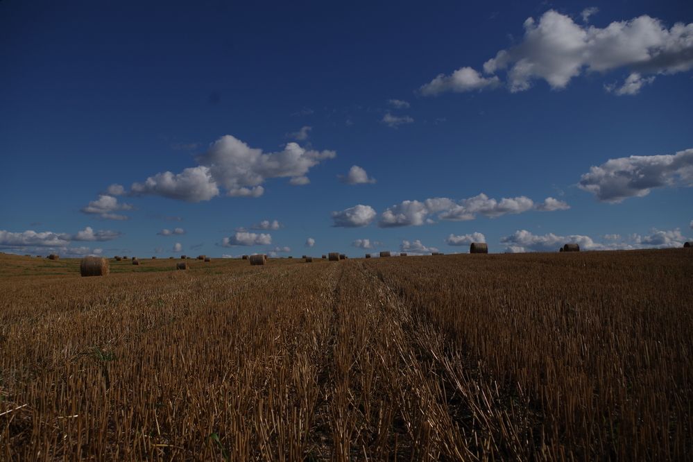 Photograph by Олег Черноокий