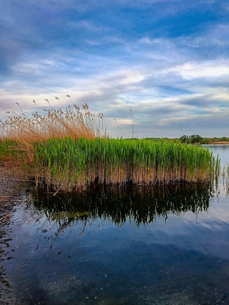 Фотография автора Rafa