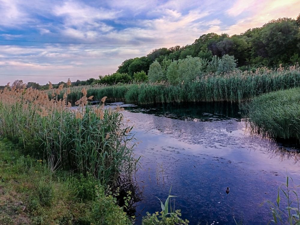 Фотография автора Rafa