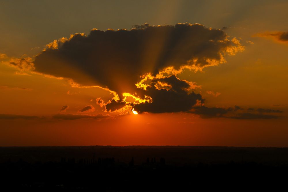 Photograph by Елена Лапочкина