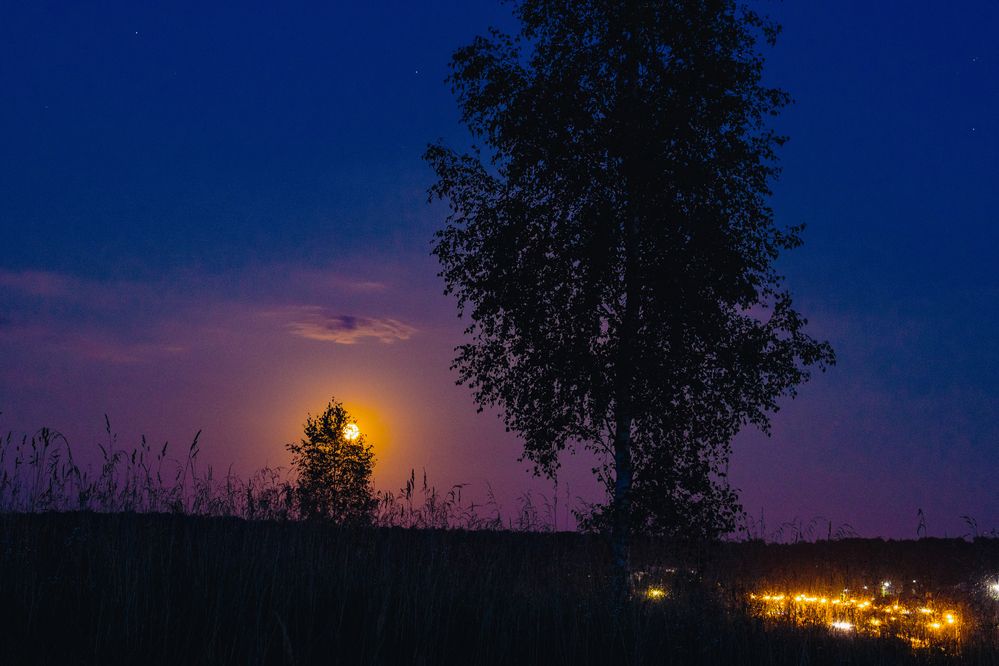 Фотография автора Aamoda Kitchen